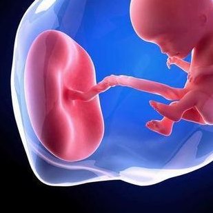 台州怎么挑选专业试管助孕机构？哪家比较靠谱？