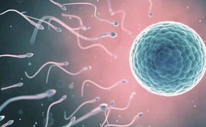 河南有生孩子的试管婴儿医院吗？生孩子的说法靠不靠谱