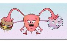 试管婴儿移植后可不可以吃香瓜，试管移植后吃香瓜的好处