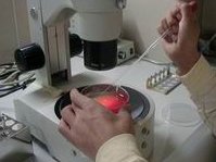 南阳三代试管婴儿多少钱？