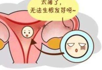 2026年拉拉去河北燕达医院做试管的成功率有多少？拉拉试管成功案例分享