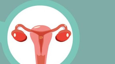 2026年没有卵泡去上海中山医院做三代试管的流程是怎么样的？有哪些条件