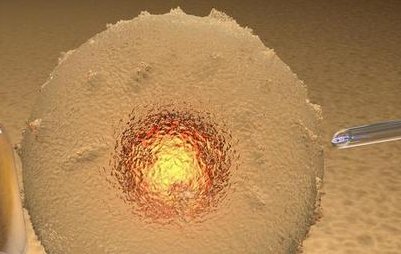 江苏正规助孕机构，2026试管助孕成功率排名参考